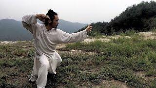 Wudang Long Hua Quan (60fps) - Master Chen Shiyu