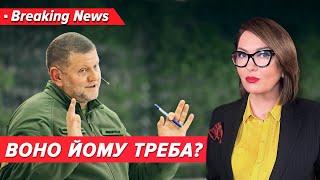 Чому ЗАЛУЖНИЙ не поїхав послом у Лондон? | Незламна країна 18.06.24