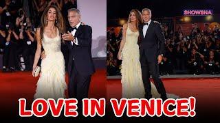 George Clooney & Amal Clooney Can't Keep Their Eyes Off Each Other At Venice Film Festival | N18G