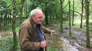 Beaver Trust - beavers cope with heavy rain