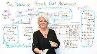 The Basics of Project Cost Management - Project Management Training