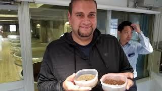 Jordan in Japan Day 1 : Ancient soy sauce secrets