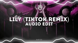 lily (tiktok remix) - alan walker [edit audio]