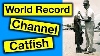 World Record Channel Catfish