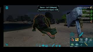 Нашёл 3 заметки первопроходцев #14 в Ark Survival Evolved