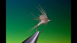 Fly Tying a CDC Emerger Mayfly with Barry Ord Clarke