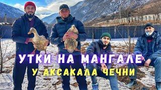 Утка на мангале. У аксакала Чечни.