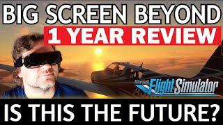 Bigscreen Beyond 1 YEAR Review | Worth BUYING in 2024? MICRO OLED 4K VR Headset | MSFS