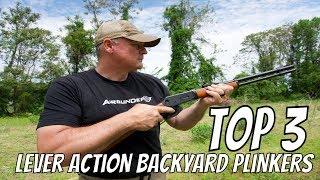 Top 3 Lever Action Backyard Plinkers