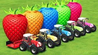 TRANSPORT GIANT COLORED STRAWBERRIES WITH RIGITRAC TRACTORS - Farming Simulator 22