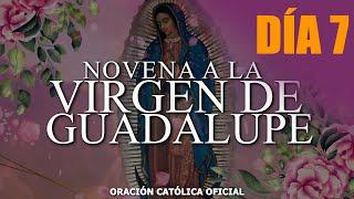 Novena a la Virgen de Guadalupe  Día 7 //Hoy 09 de diciembre de 2021//ORACIÓN CATÓLICA