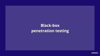 Black box penetration testing - Cyberiom