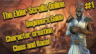 ESO: Beginners Guide - Character Creation, Race and Class (Elder Scrolls Online)