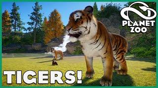 Siberian Tiger Habitats! Planet Zoo: Zoo Spotlight 21