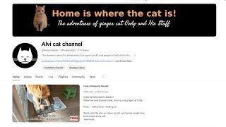 How to start a cat channel on YouTube