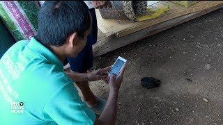 In Thailand, tracking animal health to prevent outbreaks of human disease