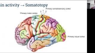 Brain Computer Interface Presentation for Neurosurgical.TV