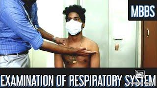 Examination of Respiratory System (Full) | MBBS | English/Hindi | Physiology Practical | MUHS |