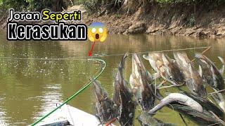 MANCING IKAN BAUNG SAAT YANG TEPAT MENGGUNAKAN UMPAN KUCUR