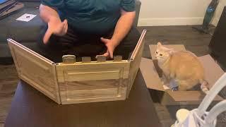 Unboxing my new Wyrmwood Gaming DM Screen | D&D Screen