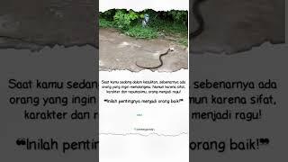 KARENA SIFAT DAN KARAKTERMU ORANG RAGU MENOLONGMU!#shortsvideo #pengingatdiri #semangatindiri#viral