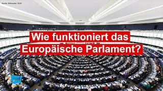 Wie funktioniert das Europäische Parlament? | Simplicissimus | Europa-Spezial