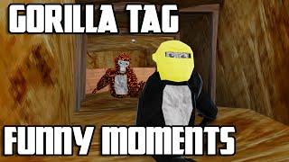 GORILLA TAG FUNNY MOMENTS - crates/hide and seek edition.