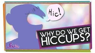 Why Do We Get Hiccups? | Body Science for Kids