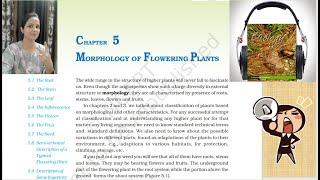 Class11 Ch5 Morphology of Flowering Plants NCERT Biology(Reading Only) | Biology Class 11Audio Books