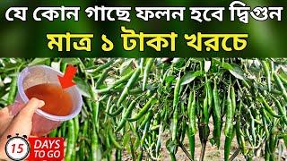 মাত্র ১ টাকা খরচে - যে কোন গাছে ফলন হবে দ্বিগুন - মাত্র ১৫ দিনে গাছে প্রচুর ফুল আসবেই