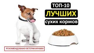 ТОП-10 лучших сухих кормов для собак | Совет ветеринара