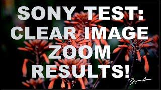 Sony a7SII: Clear Image Zoom (Test Results)