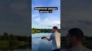 Правильная доводка удилищем  #поймалотпустил #карпфишинг #рыбалка #карп #tiktok #лето #отдых #флэт