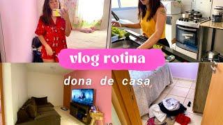 VLOG UM DIA COMIGO DONA DE CASA