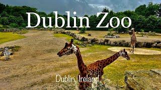 Dublin Zoo | Dublin | Ireland