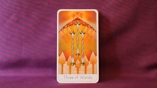 Wisdom Seekers Tarot Full Flip Through