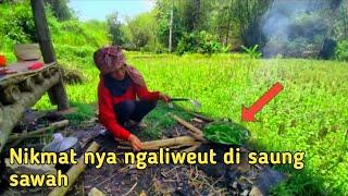 sambal cibiuk jengkol ikan asin lalap ngaliweut di saung sawah bikin madep