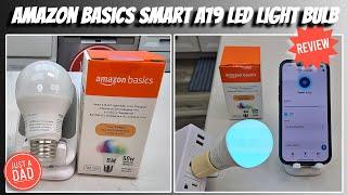 Amazon Basics Smart A19 LED Light Bulb REVIEW