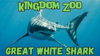 Everything You Need to Know About Great White Sharks - Kingdom Zoo