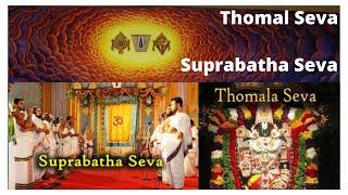 Thomala Seva | Suprabhatam Seva | TTD Seva Darshan info