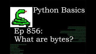 Python Basics Tutorial What are bytes?