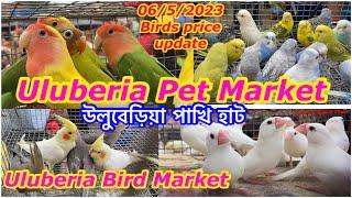 Uluberia Pet Market, Uluberia Bird Market,06/5/2023 price update today #cheapestprice#cheapestmarket