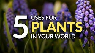 Worldbuilding Fantasy Plants! 5+ uses for magical plants in your novel or RPG campaign!