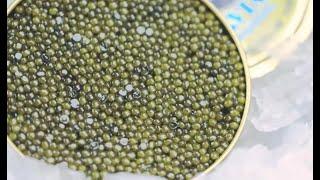 GLOBALink | Chinese caviar benefits overseas market