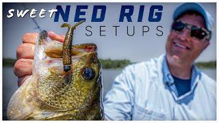 7 Legit Ned Rig Jig and Plastic Setups 