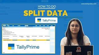 How to Split Data in Tally Prime | Techjockey | Quick Tutorial