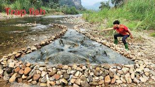 Lam arranged rocks to form a fish trap close to the stream bank. The fish were caught in the trap