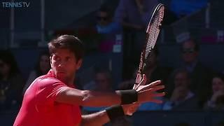 Top 15 Fernando Verdasco MONSTER Forehands! 