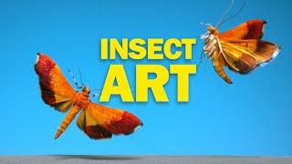 Flying Insects as Art in NAT GEO!