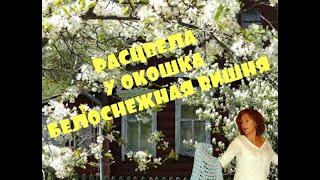 ️ЛЮБИМАЯ ПЕСНЯ ВСЕХ ЖЕНЩИН Боголепова Юлия-Расцвела у окошка белоснежная вишня